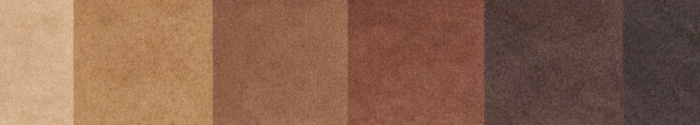 Turul 1900 – 20 color scale