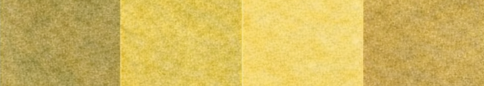 Turul 1909 – nuancier 2